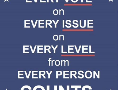 Senate Runoff Election Needs All Of Our Attention- Vote TODAY!